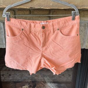 Carve Designs Women's Oahu coral Corduroy Shorts with fray & stretch. Size 6
